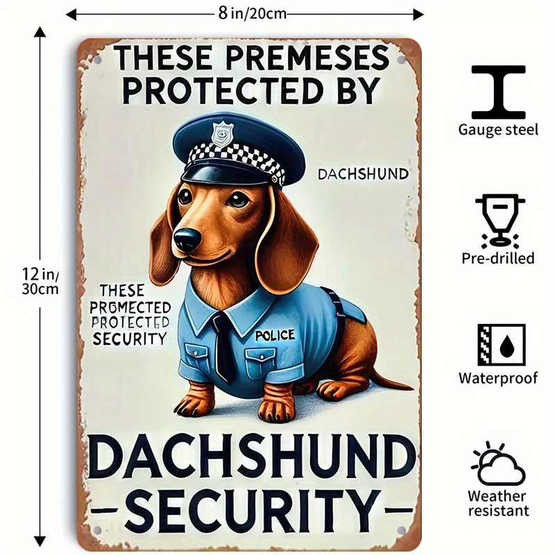 2D Flat, [2D Flat] 1-Piece Fun - Home Yard Security recension och pris